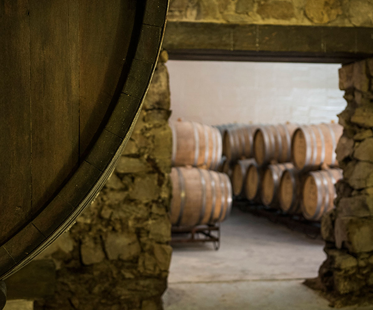 Experiencia en Canelones